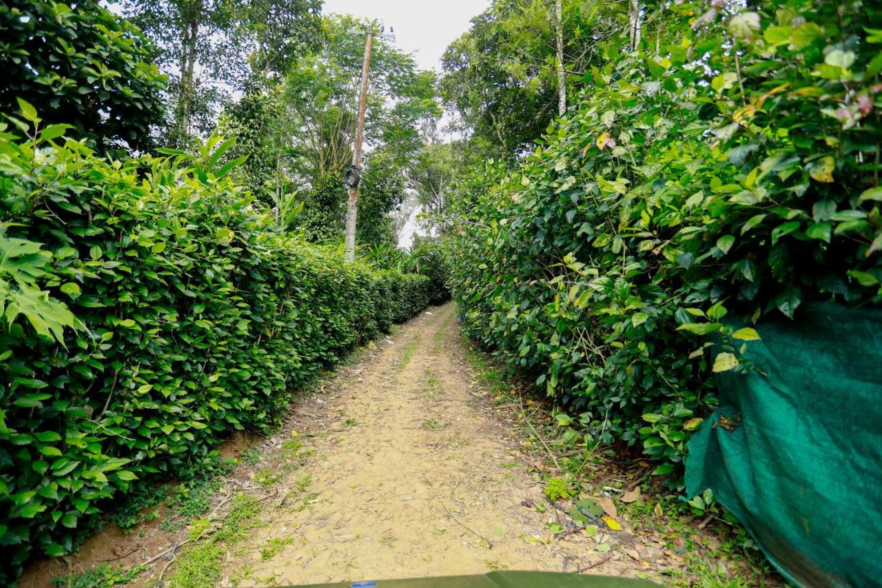 Thekkady Kalarickal Heritage Bungalow Vandanmedu Екстер'єр фото