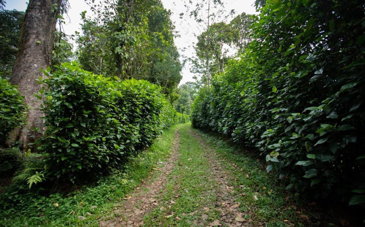 Thekkady Kalarickal Heritage Bungalow Vandanmedu Екстер'єр фото